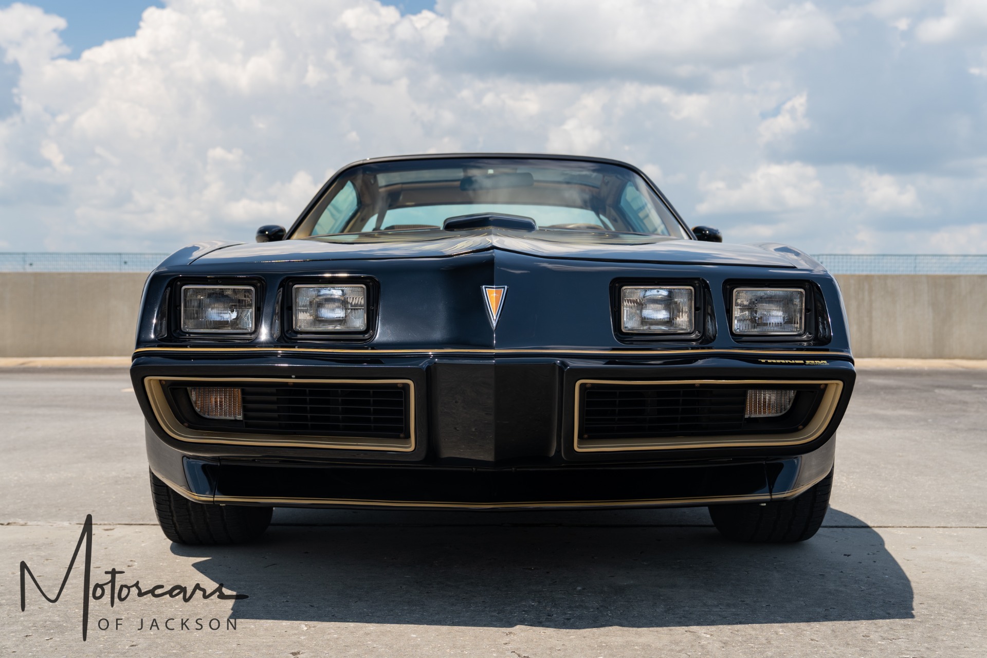 1979 Pontiac Trans Am 66l Bandit Hurst 4 Speed Stock 155664 For Sale